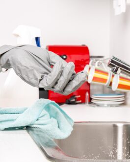 Health and household